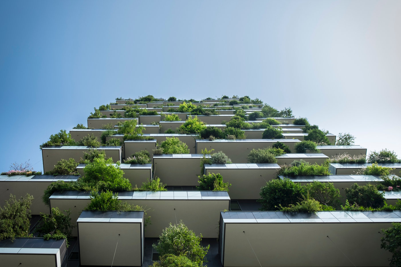 Vertical Garden Building